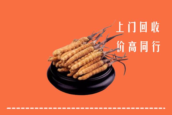 高价求购：阜阳回收散虫草