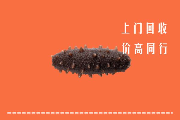 阜阳回收海参