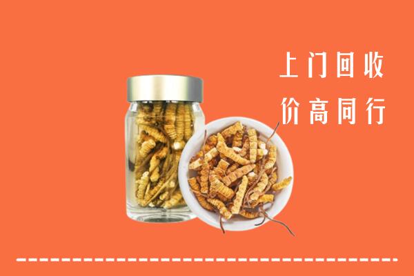 阜阳回收冬虫夏草