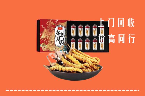 阜阳回收虫草